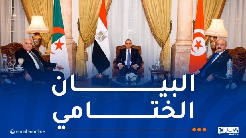 مصر وتونس والجزائر يرفضون كل أشكال التدخل الخارجي في ليبيا