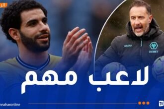 مـدرب وولفرهامبتون يحسم موفقه من رحيل آيت نوري