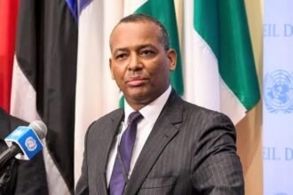 ممثل جبهة البوليساريو يُكذّب ادعاءات ممثل المغرب بخصوص قضية الصحراء الغربية