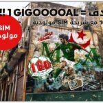 موجهة لأنصار المولودية..Ooredoo تكشف طريقة تشغيل الشريحة الجديدة  SIM MCA