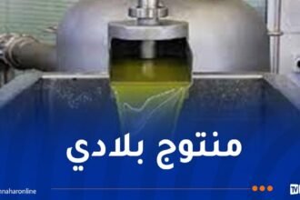 ميداليتان ذهبيتان لزيت زيتون جزائري بسويسرا