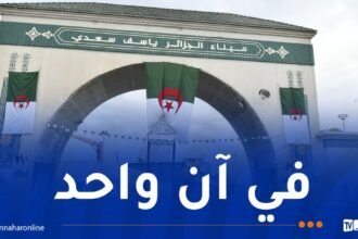ميناء الجزائر: كل الإمكانيات متوفرة لاستقبال سفينتين محملتين بالأغنام اليوم
