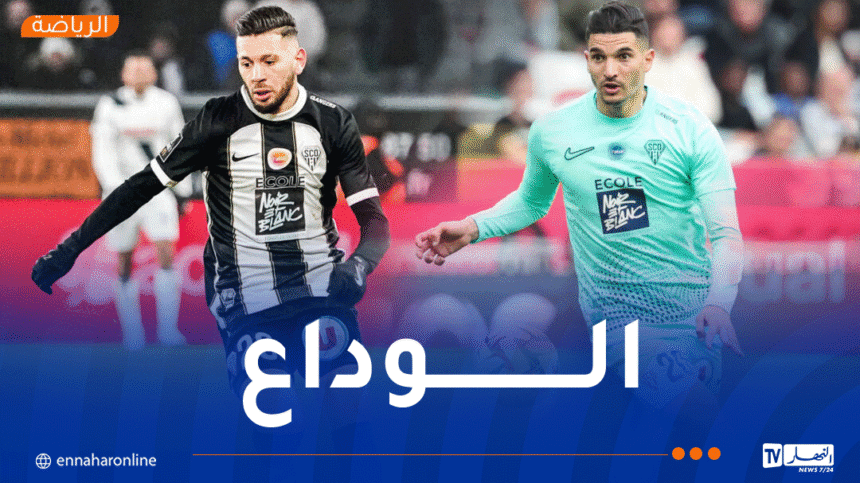 نهاية مشوار جزائري مزدوج في أنجي.. الملالي وفرحات يودّعان النادي