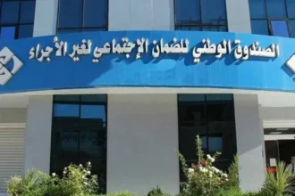  هام من “كاسنوس” 