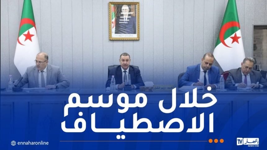 هذا ما أمر به وزير النقل بخصوص الجالية الوطنية