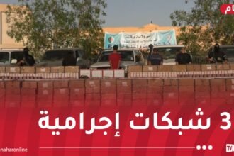 ورقلة: توقيف 9 أشخاص وحجز مليون و800 ألف كبسولة مهلوسات!