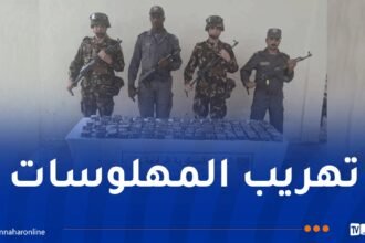 ورقلة.. حجز أزيد من 14 ألف قرص مهلوس داخل شاحنة محملة بالبطاطا