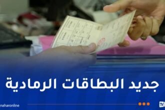 وزارة الداخلية تدعو مالكي المركبات أقل من 3 سنوات لإستصدار البطاقة الرمادية