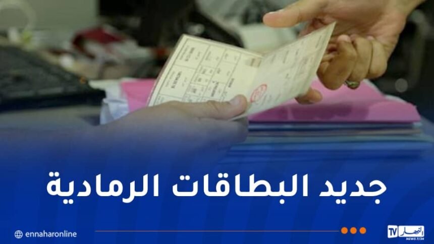 وزارة الداخلية تدعو مالكي المركبات أقل من 3 سنوات لإستصدار البطاقة الرمادية