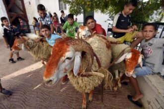 وزارة الشؤون الدينية: الجمعة 6 جوان أول ايام عيد الأضحى المبارك