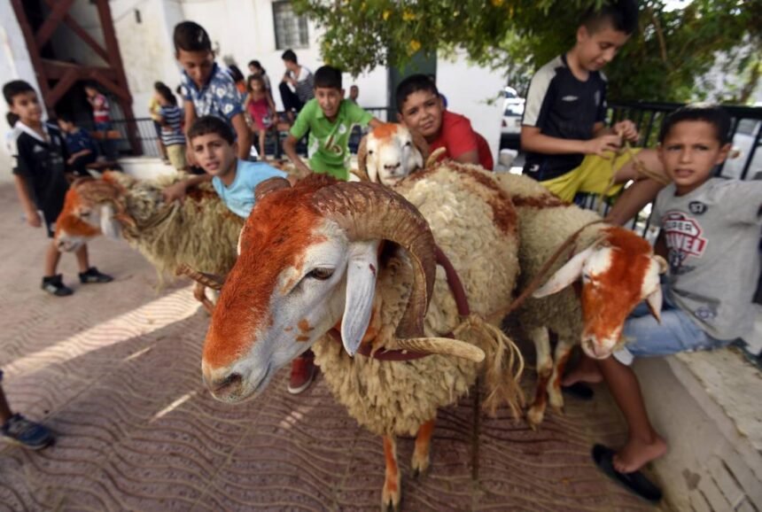 وزارة الشؤون الدينية: الجمعة 6 جوان أول ايام عيد الأضحى المبارك