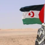 وزير خارجية بلجيكا يُؤكد إلتزام بلاده بالقانون الدولي بشأن الصحراء الغربية