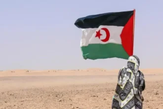 وزير خارجية بلجيكا يُؤكد إلتزام بلاده بالقانون الدولي بشأن الصحراء الغربية