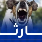 وفاة طفل بعضة كلب مُصاب بداء الكلب في باتنة