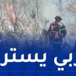إندلاع عدة حرائق عبر هذه الولايات