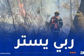 إندلاع عدة حرائق عبر هذه الولايات