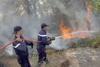 الحماية المدنية: تسجيل حرائق غابات، أدغال وأحراش عبر 4 ولايات