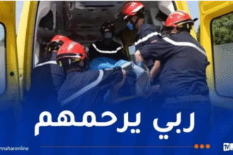4 قتلى في حوادث مرور عبر ثلاث ولايات    