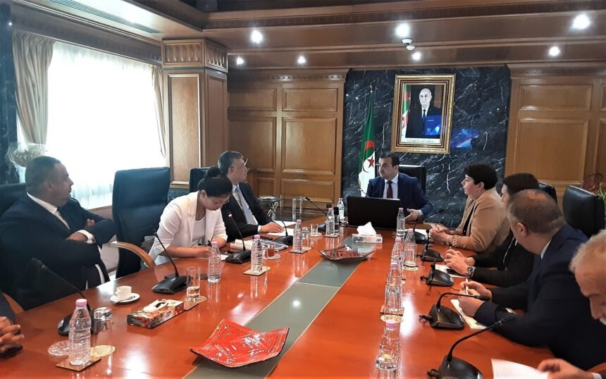 أحد أكبر التكتلات الصناعية في الصين مُهتم بالسوق الجزائرية