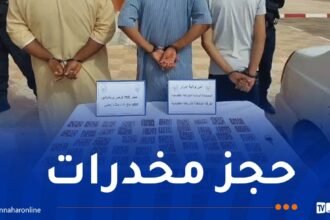أدرار.. توقيف 3 أشخاص وحجز 750 قرص مهلوس