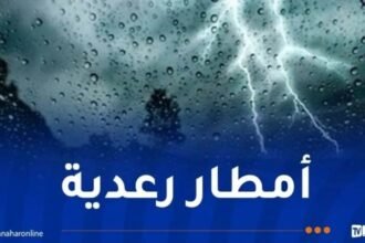 أمطار رعدية على 14 ولاية 