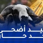 أيام عيد الأضحى.. حرارة استثنائية تجتاح هذه الولايات