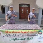 إحباط محاولة تهريب 7480 قرص “صاروخ” في الوادي