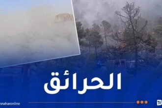 إندلاع عدة حرائق عبر هذه الولايات
