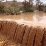 إيليزي.. إنقاذ 7 أشخاص كانوا محصورين داخل سيارة بسبب التقلبات الجوية 