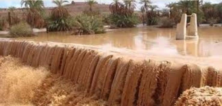 إيليزي.. إنقاذ 7 أشخاص كانوا محصورين داخل سيارة بسبب التقلبات الجوية