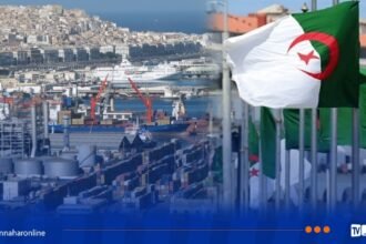 البنك الدولي.. الاقتصاد الجزائري عرف نموا قويا في عام 2024