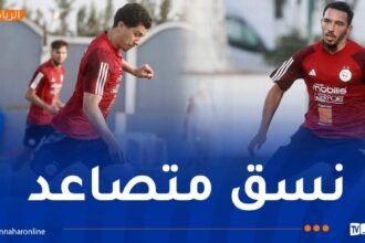 الخضر يواصلون التحضيرات في سيدي موسى استعدادًا لمواجهتي رواندا والسويد
