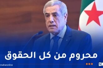 العرباوي: نندد بالعدوان الوحشي الذي يتعرض له الشعب الفلسطيني