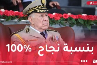 الفريق أوّل شنقريحة يهنئ أشبال الأمّة الناجحين في شهادة التعليم المتوسط