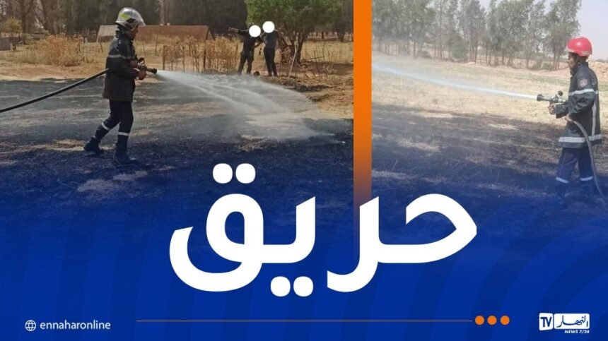 النعامة: إندلاع حريق في بقايا محصول زراعي 