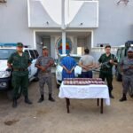 الوادي: إحباط تهريب 14.850 قرصا مهلوسا