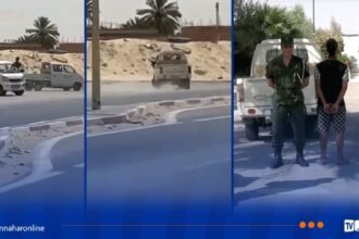 الوادي.. الدرك يوقف صاحب شاحنة صغيرة قام بمناورات خطيرة