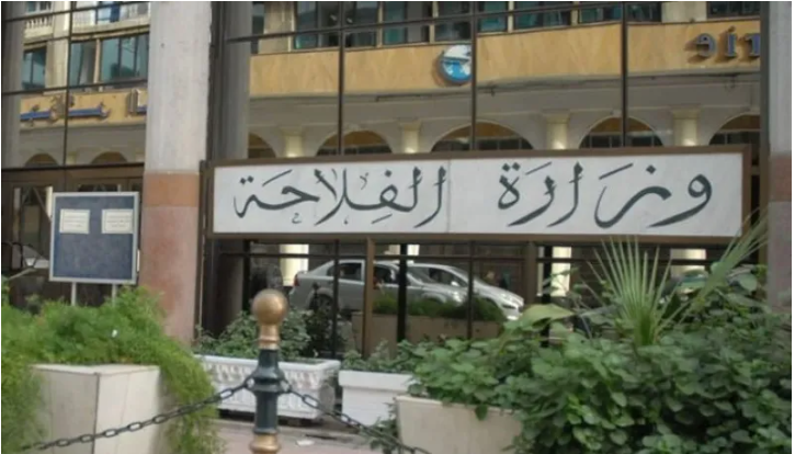انطلاق حملة الحصاد والدرس لموسم 2024-2025..هذا ما وقفت عليه وزارة الفلاحة