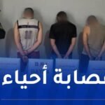 باتنة.. توقيف 3 أشخاص وحجز مخدرات وأسلحة