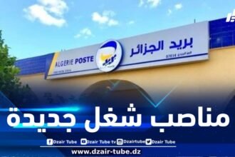 بريد الجزائر: تنظيم مسابقة التوظيف الوطنية في الأسابيع المقبلة وفتح مناصب إضافية