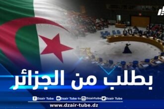 بطلب من الجزائر .. مجلس الأمن يتطرق إلى الوضع الإنساني في غزة