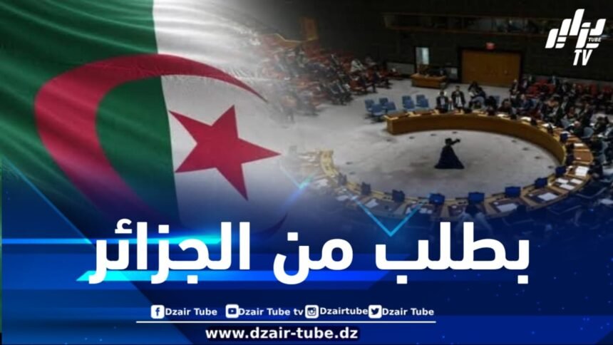 بطلب من الجزائر .. مجلس الأمن يتطرق إلى الوضع الإنساني في غزة