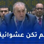 بن جامع: استشهاد مئات الفلسطنيين قرب مراكز توزيع المساعدات سياسة ممنهجة من قبل الاحتلال