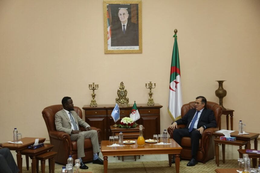 بن طالب يستقبل نظيره الصومالي