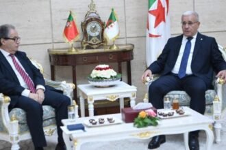 بوغالي يستقبل رئيس المحكمة الدستورية البرتغالية..وهذا ما دار بينهما