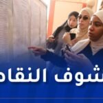 “بيام” 2025.. استخراج كشوف النقاط بداية من الغد