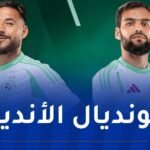 بيتكوفيتش يُسرّح بلايلي وتوقاي
