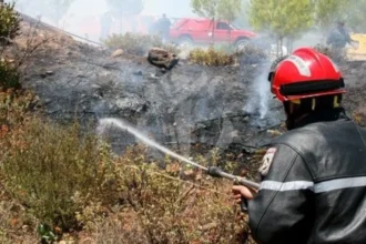 تسجيل حرائق غابات، أدغال وأحراش عبر 10 ولايات 