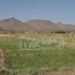 تسوية ملف العقار الفلاحي نهائيا بالجزائر قبل نهاية 2025