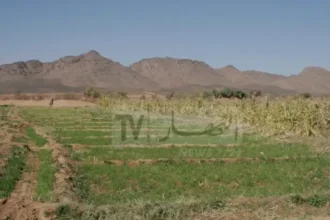 تسوية ملف العقار الفلاحي نهائيا بالجزائر قبل نهاية 2025